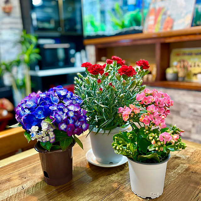 tututu0204さんの部屋