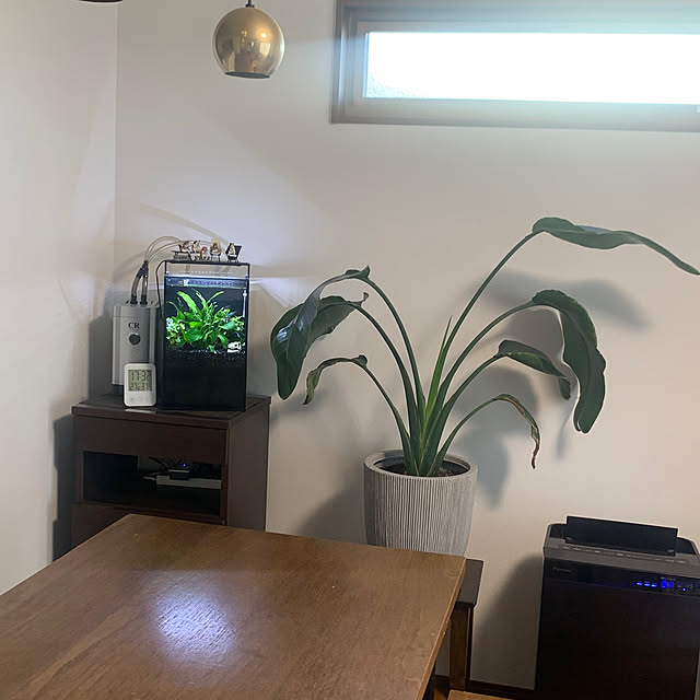 maron_cooさんの部屋