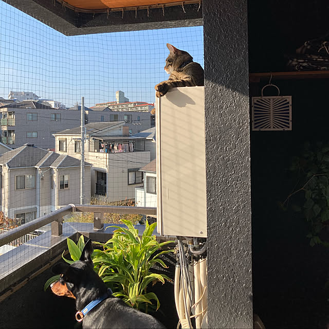 yukiさんの実例写真