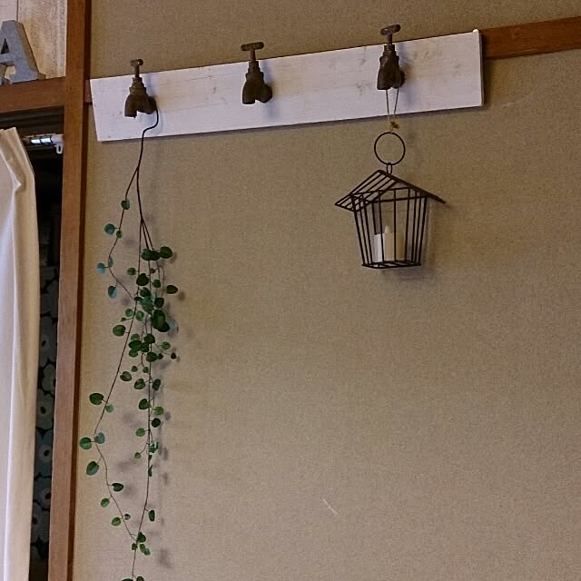 haruさんの実例写真