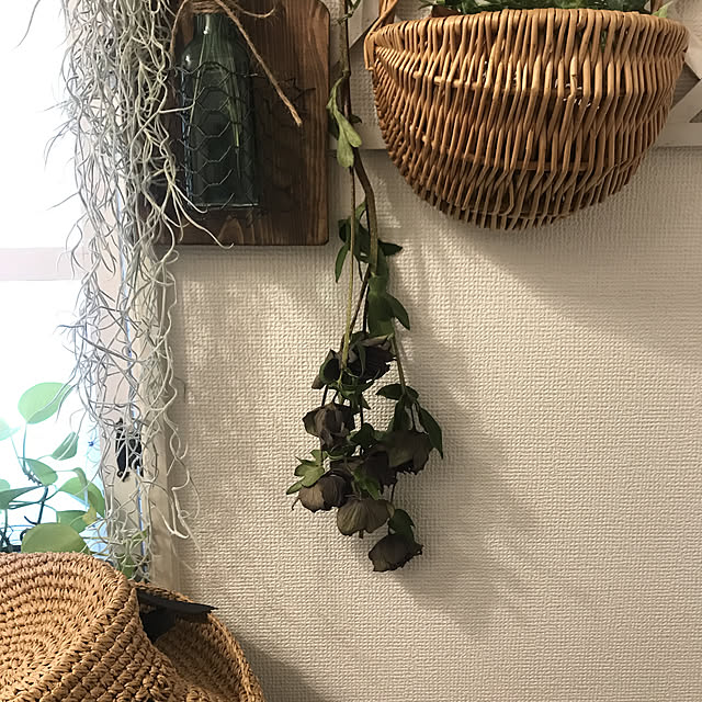 asako.10さんの実例写真