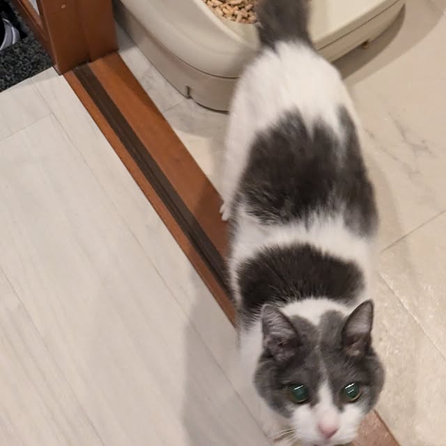 Manamiさんの部屋