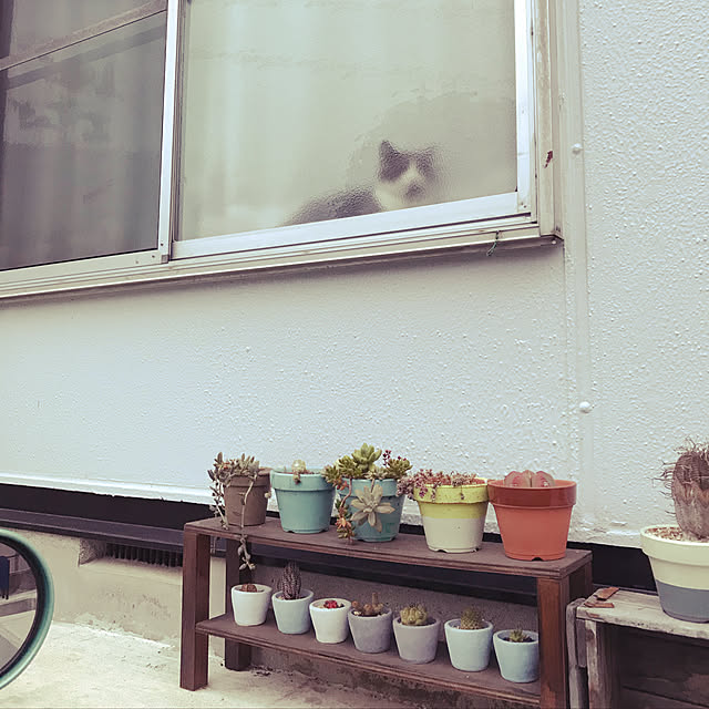 hacchiさんの実例写真