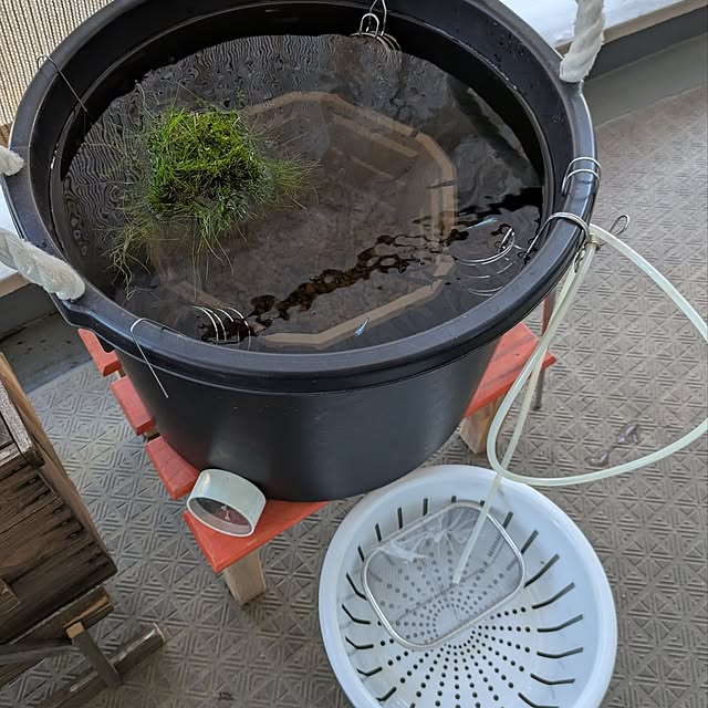 mi-saさんの部屋