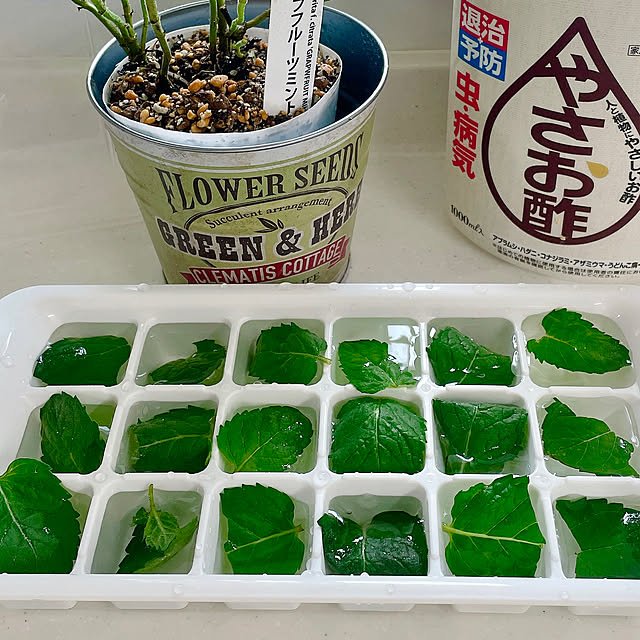 miyuさんの部屋