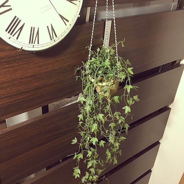 eniさんの実例写真