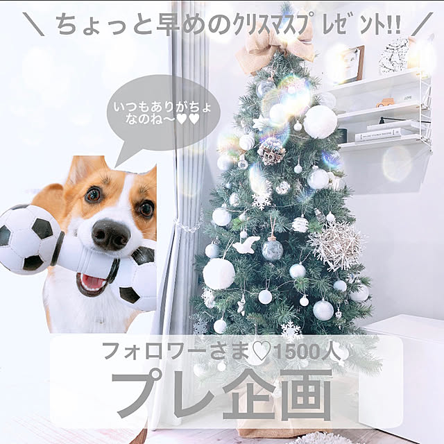 3ayuさんの実例写真