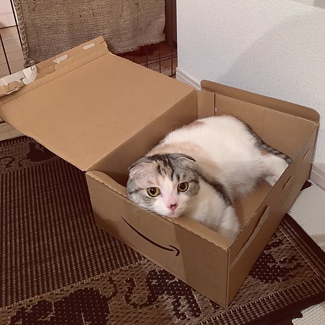 yokkochanさんの実例写真