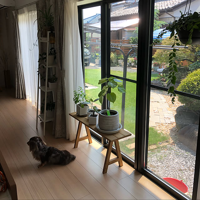 cocoaさんの実例写真