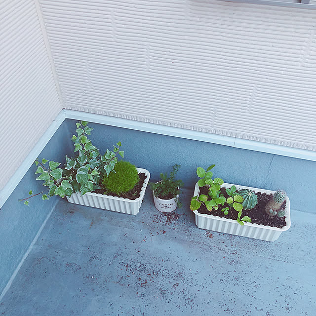fuuさんの実例写真