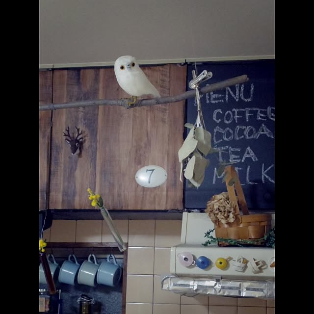 mikuさんの実例写真