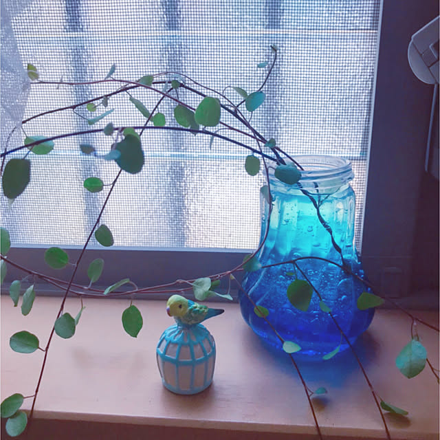 portulacaさんの実例写真