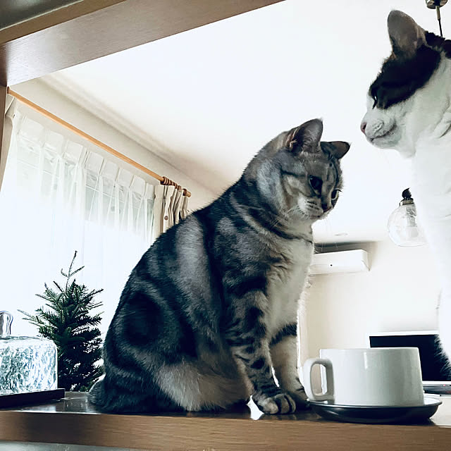 RARAさんの実例写真