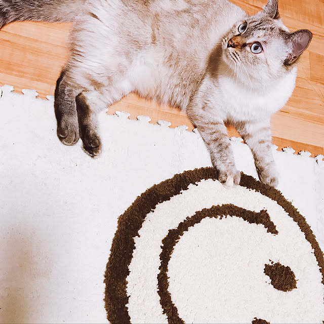nachuさんの実例写真