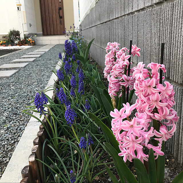walzさんの実例写真