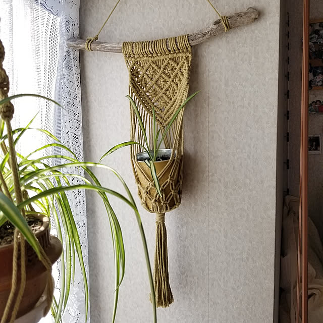 midoriさんの実例写真