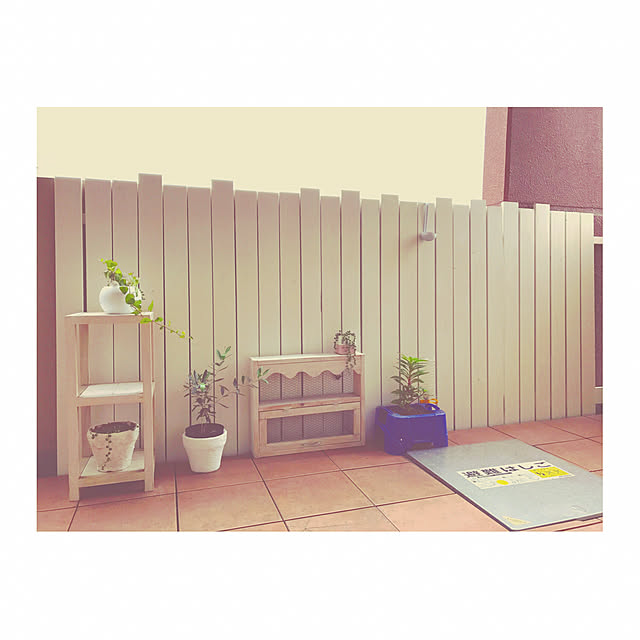 misaさんの実例写真
