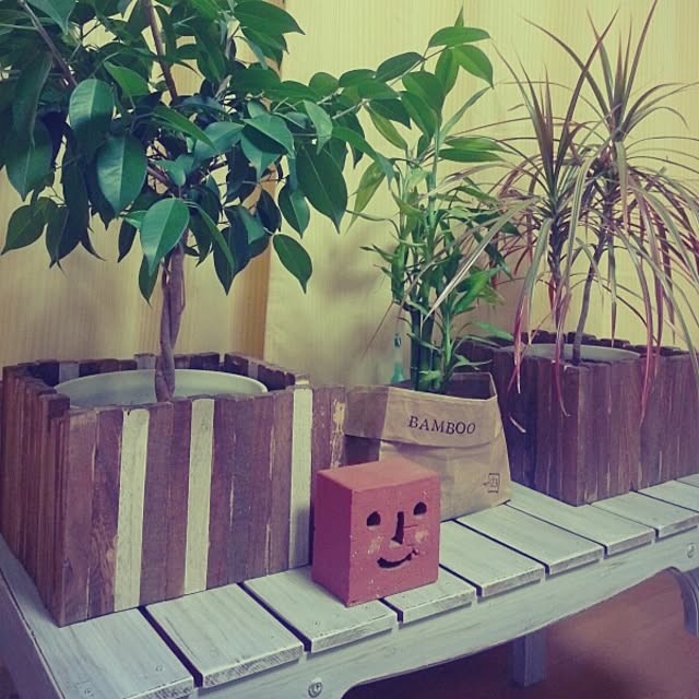 Chiakiさんの実例写真