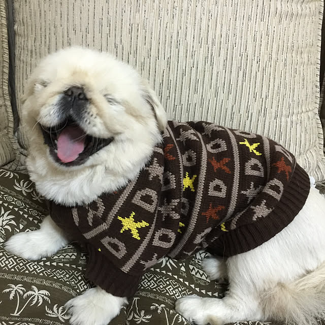 peko226さんの実例写真