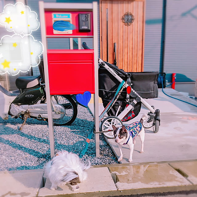 bjhorusさんの実例写真