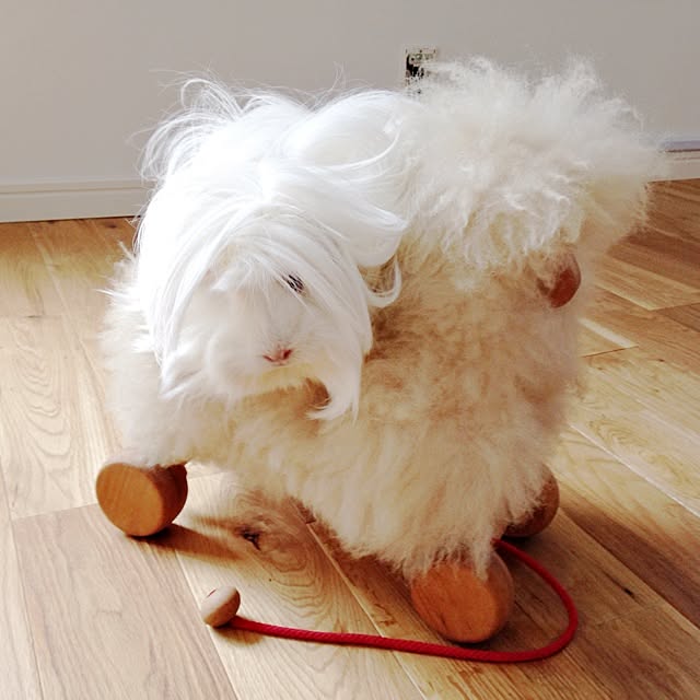 Atsushiさんの実例写真