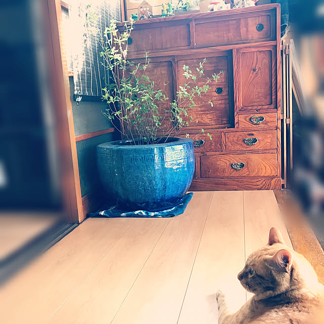 hmskr0319さんの実例写真