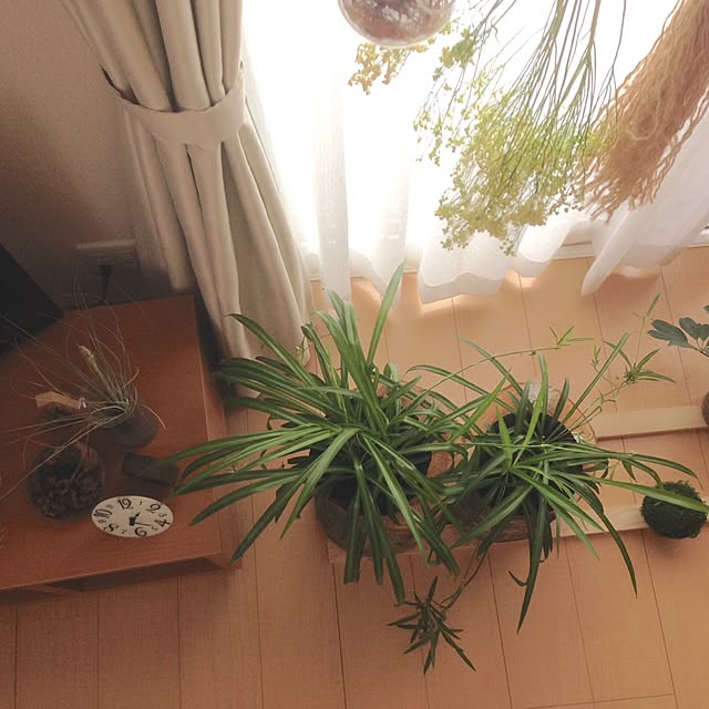 saさんの実例写真