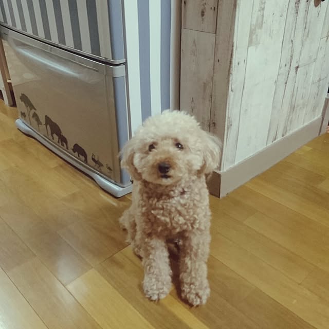 hiyo-0806さんの実例写真