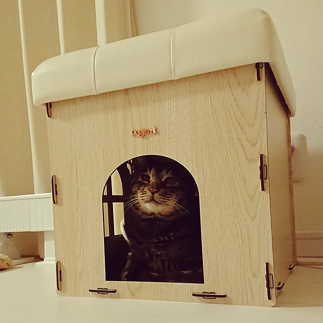 harungoさんの実例写真