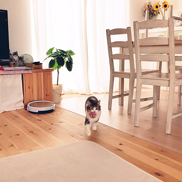 hiroさんの実例写真