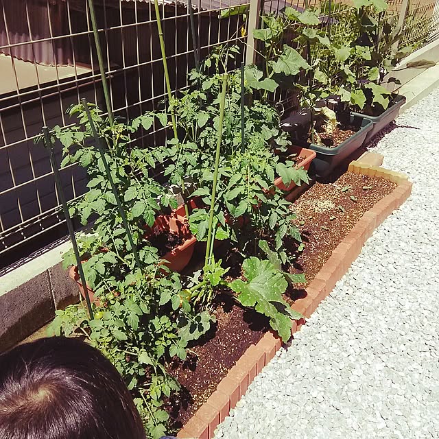 todayさんの実例写真