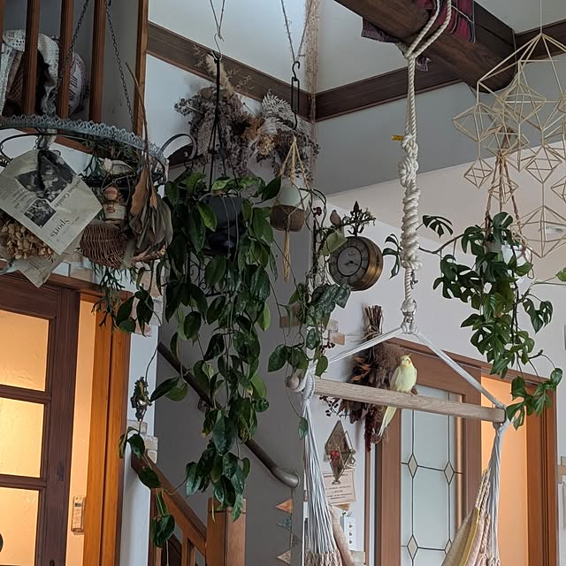 akiさんの実例写真