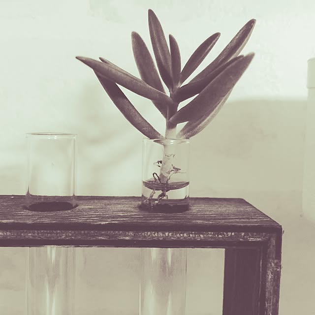 seroriさんの実例写真