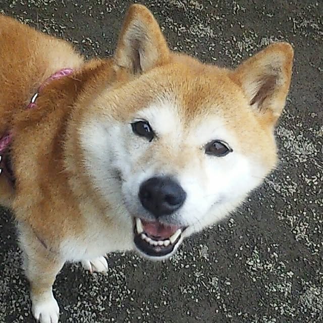 YUKKIさんの実例写真