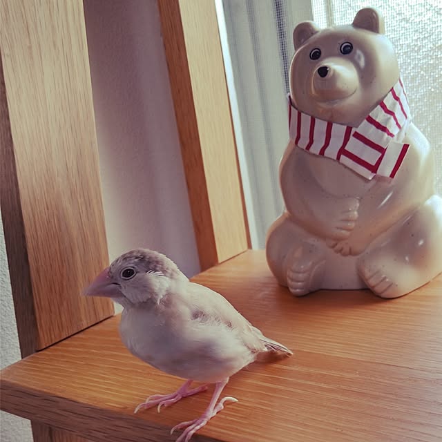 fujifujiさんの部屋