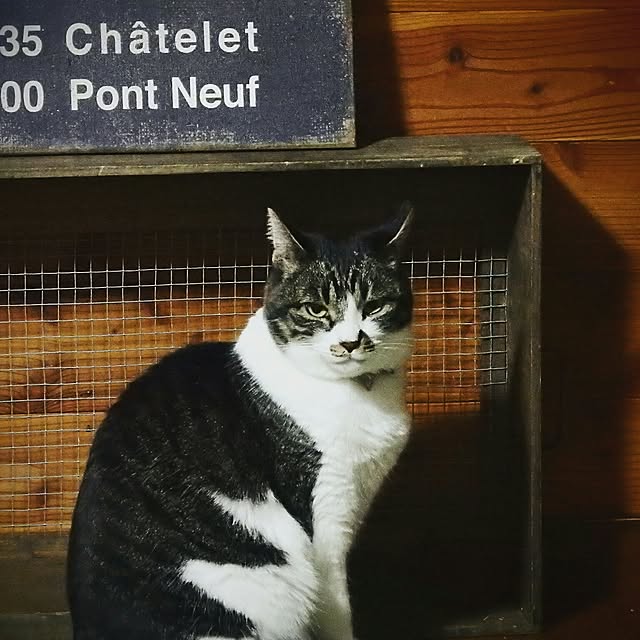 yukiさんの実例写真