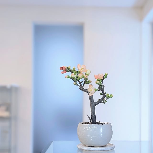 a.co.さんの実例写真