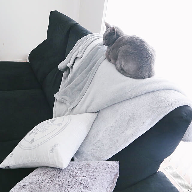 yk_homeさんの実例写真