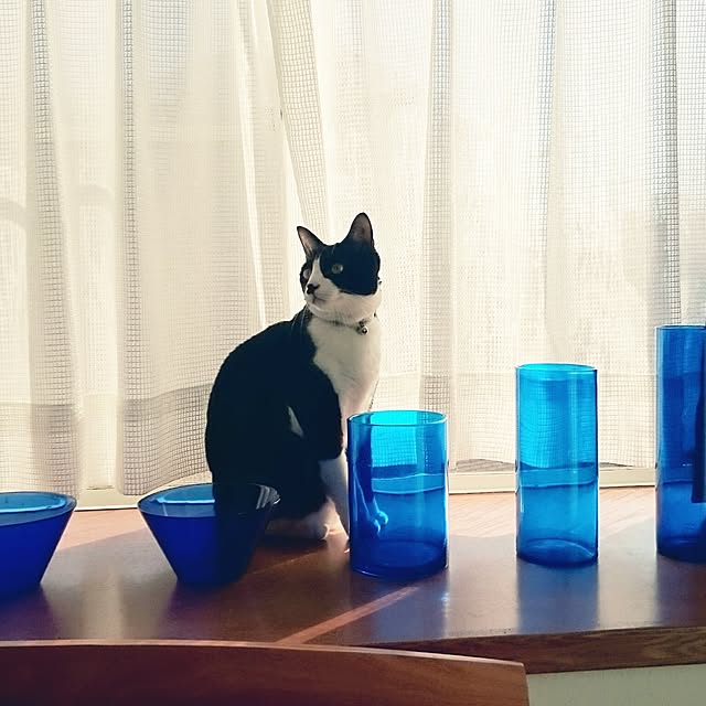 hiyo.pietさんの実例写真