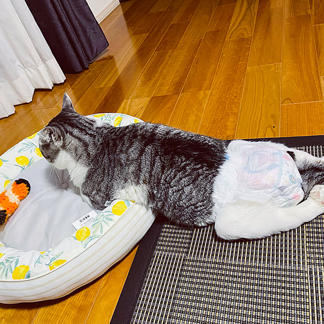 ALPSさんの実例写真