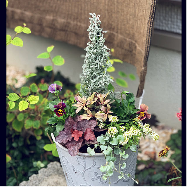 yukarin-gardenさんの実例写真