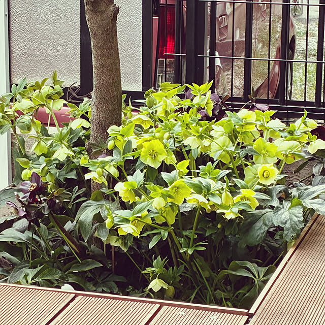 buchikoさんの部屋