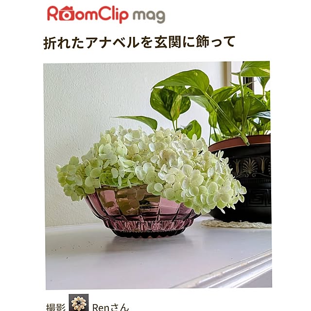 実例写真