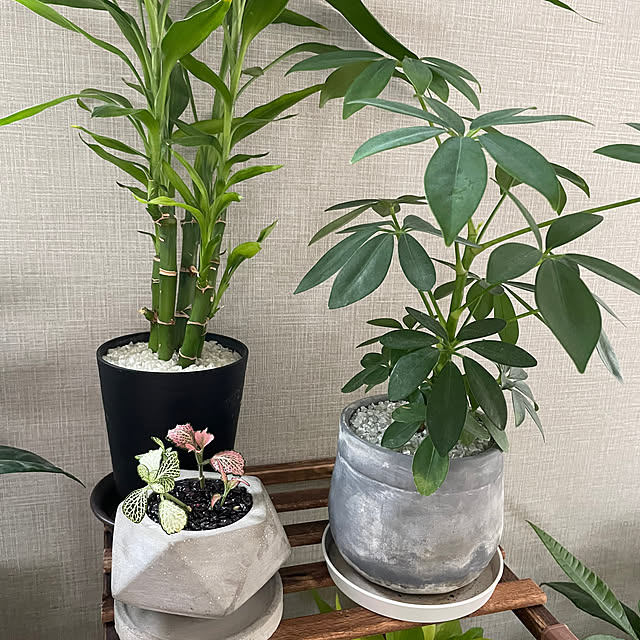 ikuzakさんの部屋
