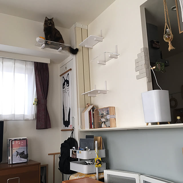 mikomaruさんの実例写真