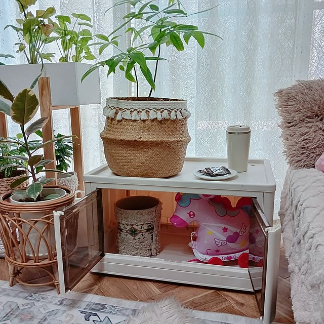 rumi_ebiさんの部屋