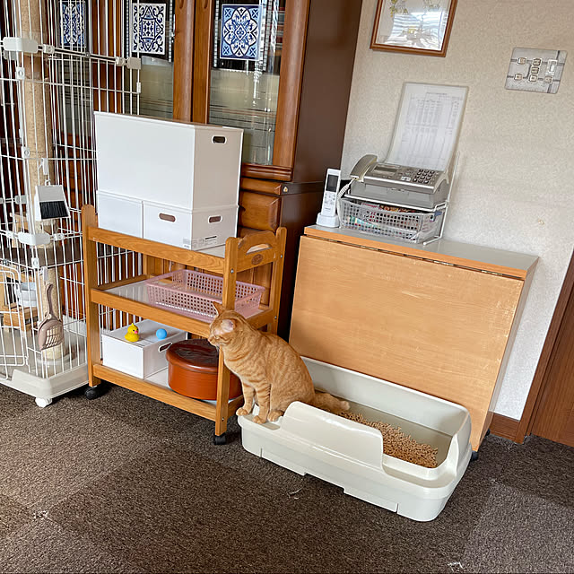 kikiさんの実例写真