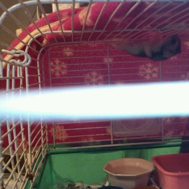 asa0521さんの実例写真