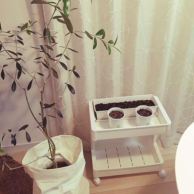 marikaさんの実例写真
