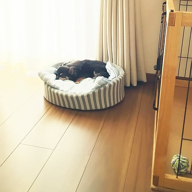 mihoccoさんの実例写真